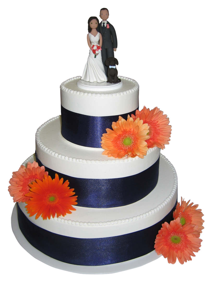 a wedding cake with a bride and groom on top