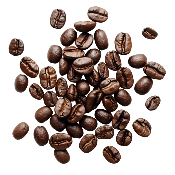 coffee beans on a white background