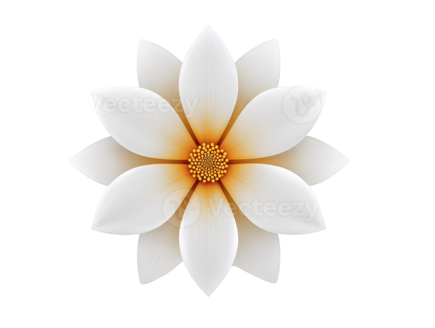 a white flower with yellow center