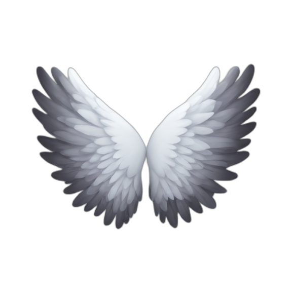 an image of a white angel wings