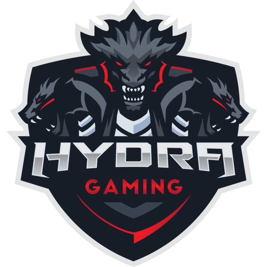 the logo for a gaming team