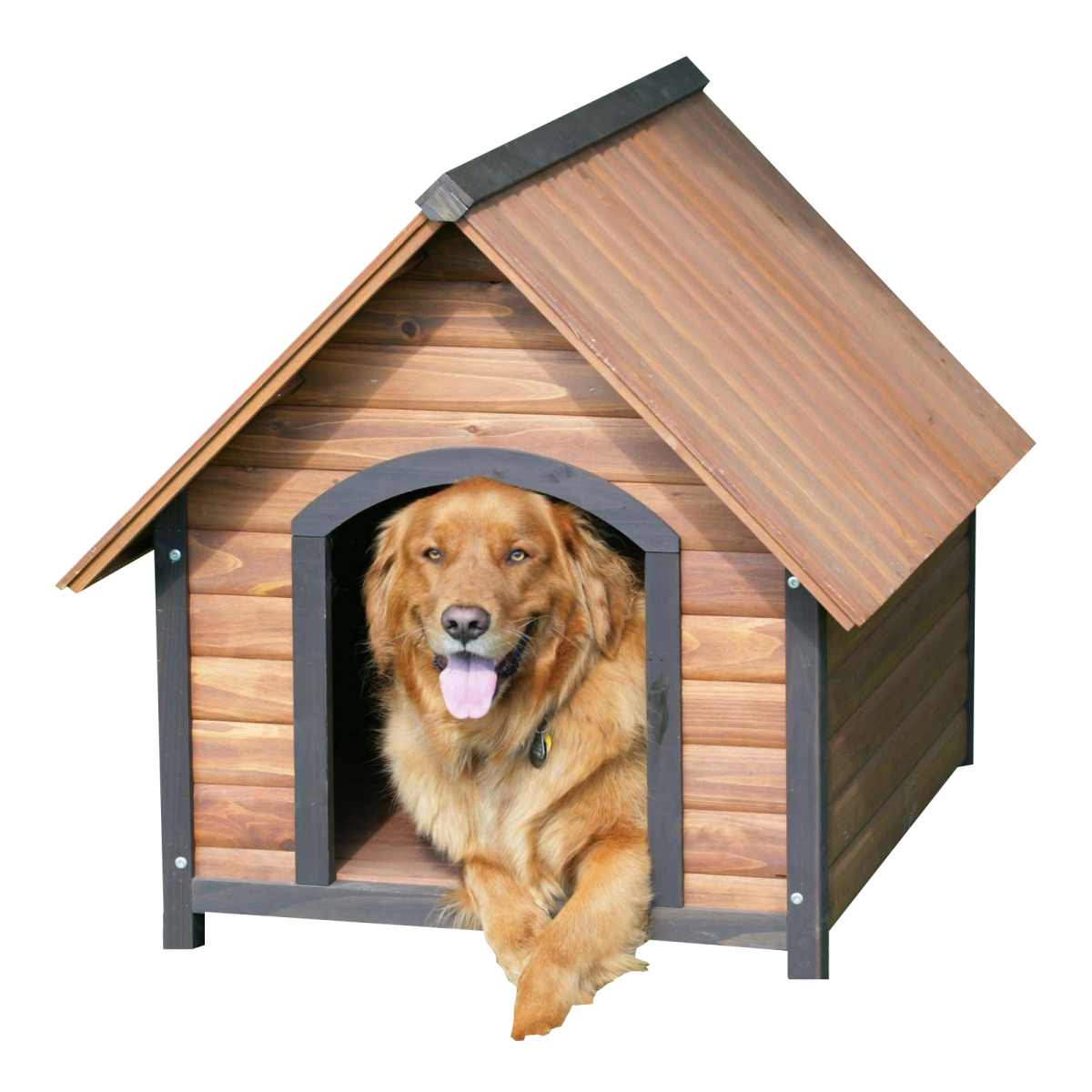 a dog in a wooden dog house