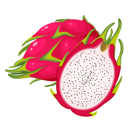 a dragon fruit on a white background