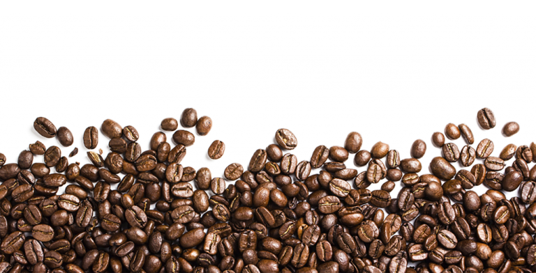 coffee beans on a white background