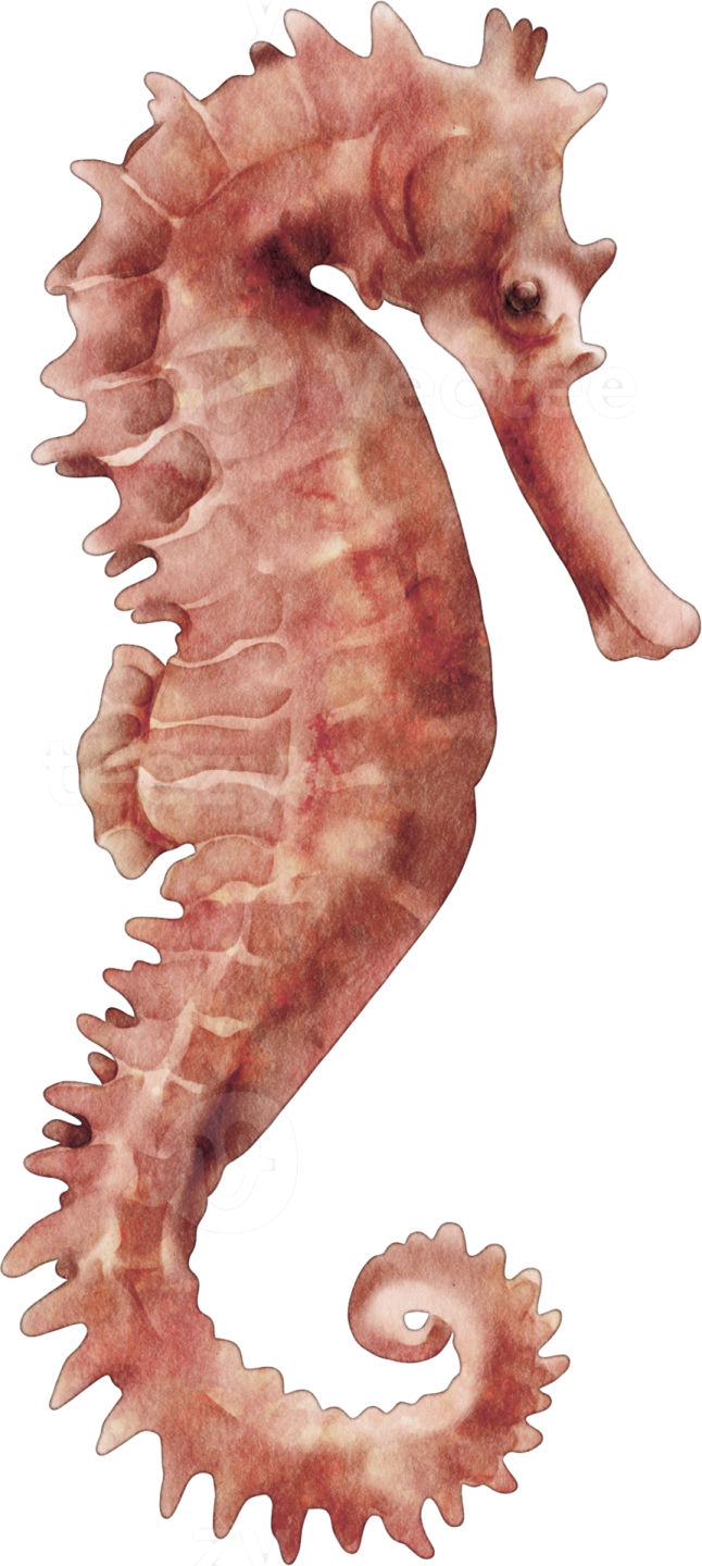 a watercolor painting of a seahorse