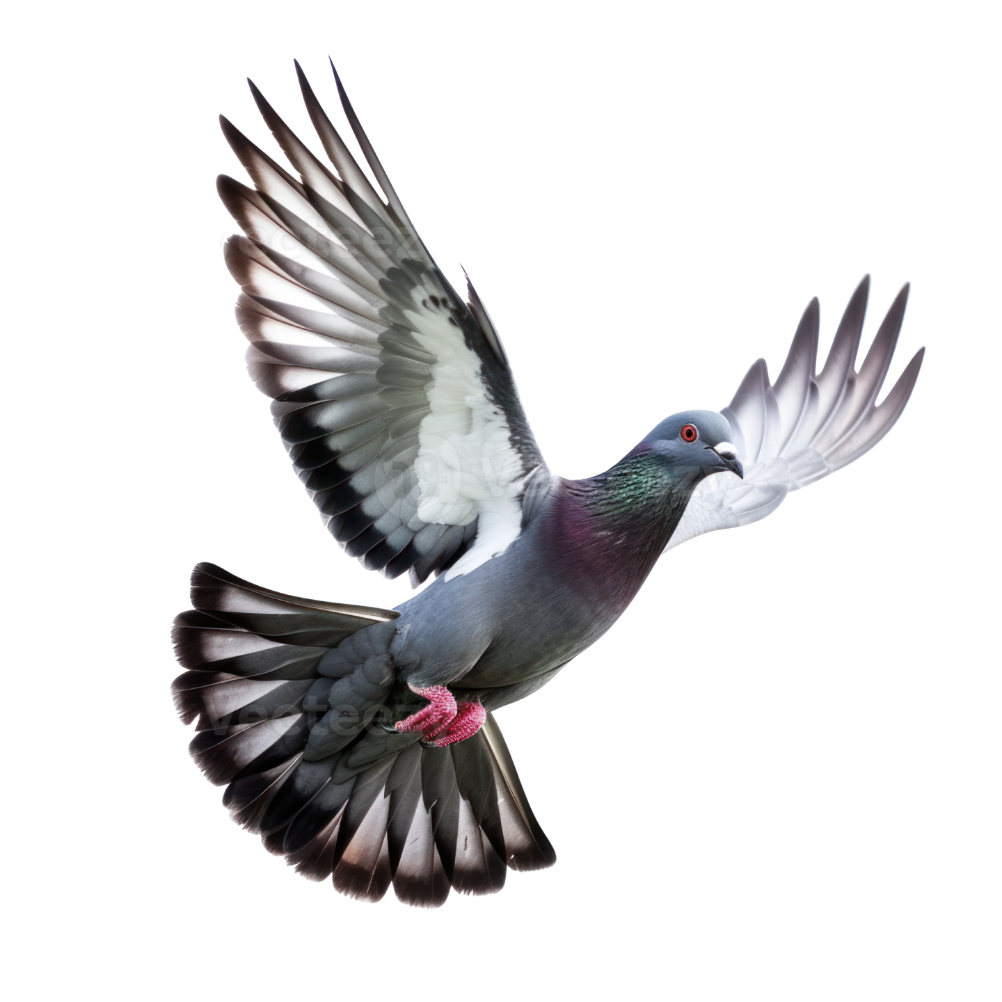 a bird flying in the air with its wings spread