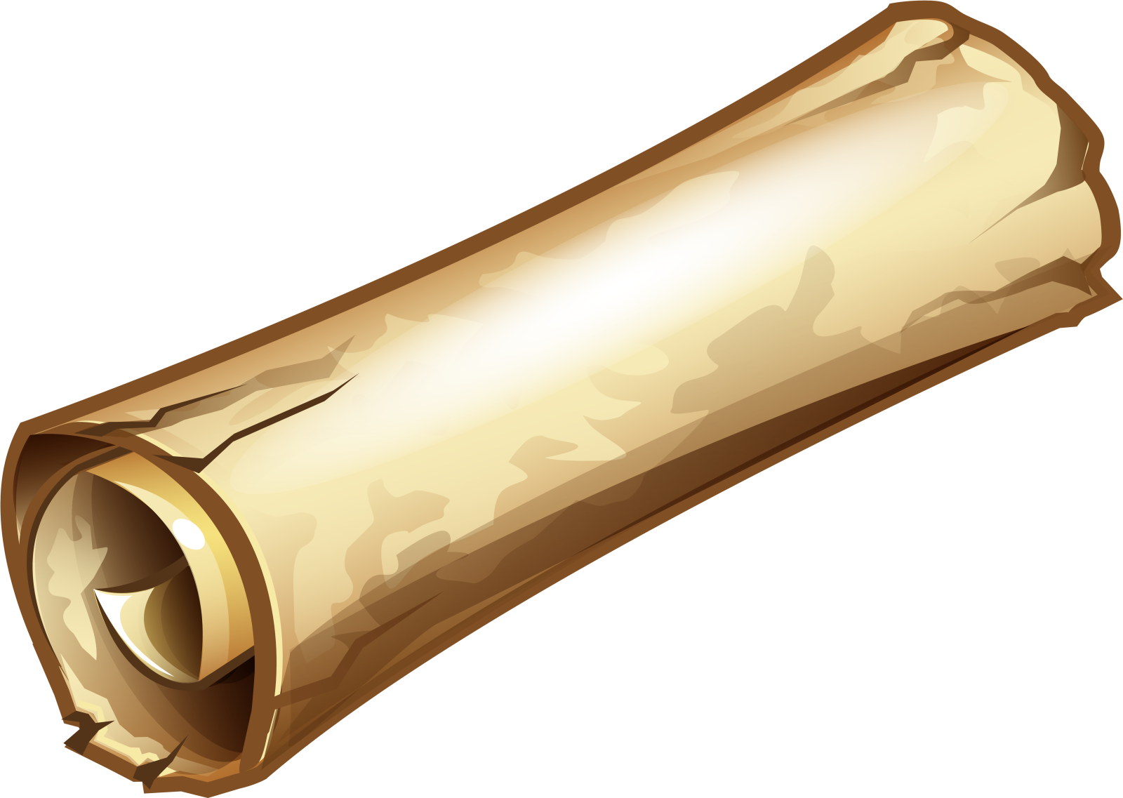 a rolled roll of parchment
