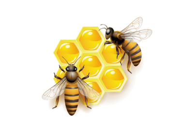 two bees on a honeycomb