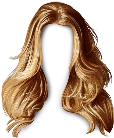 a drawing of a woman's hair