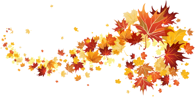 an image of a bunch of autumn leaves