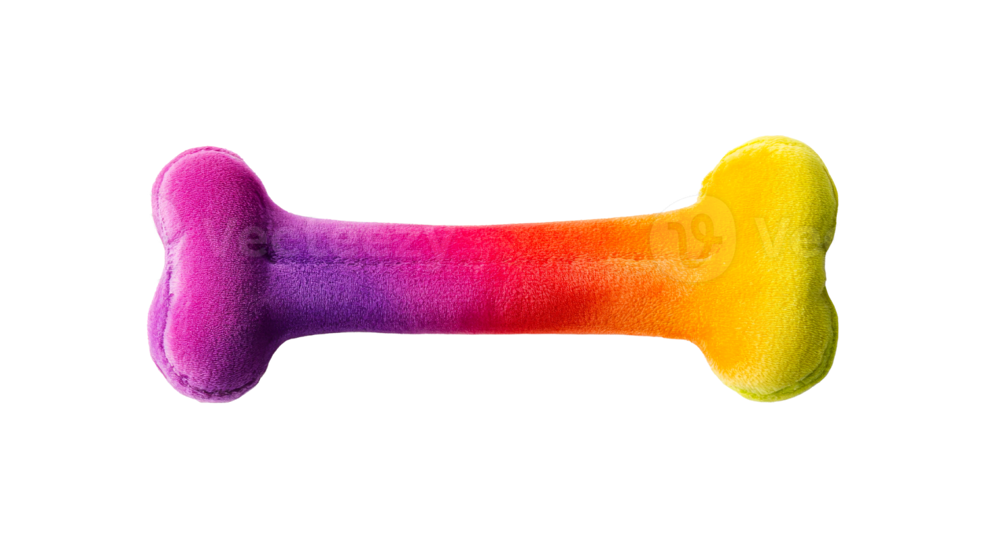 a rainbow colored dog bone on a white background