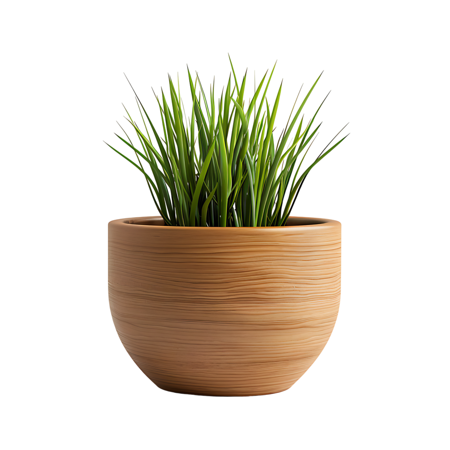 a plant in a wooden pot