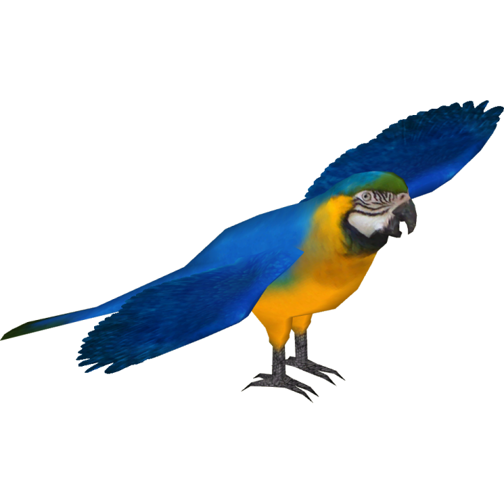 a blue and yellow parrot standing on a white background