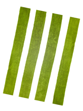 three green stripes on a white background