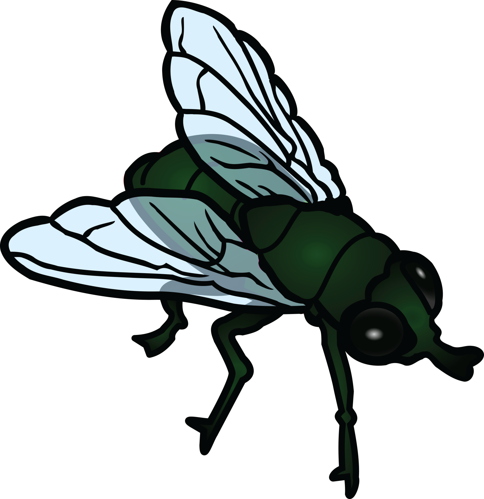a green fly insect on white background