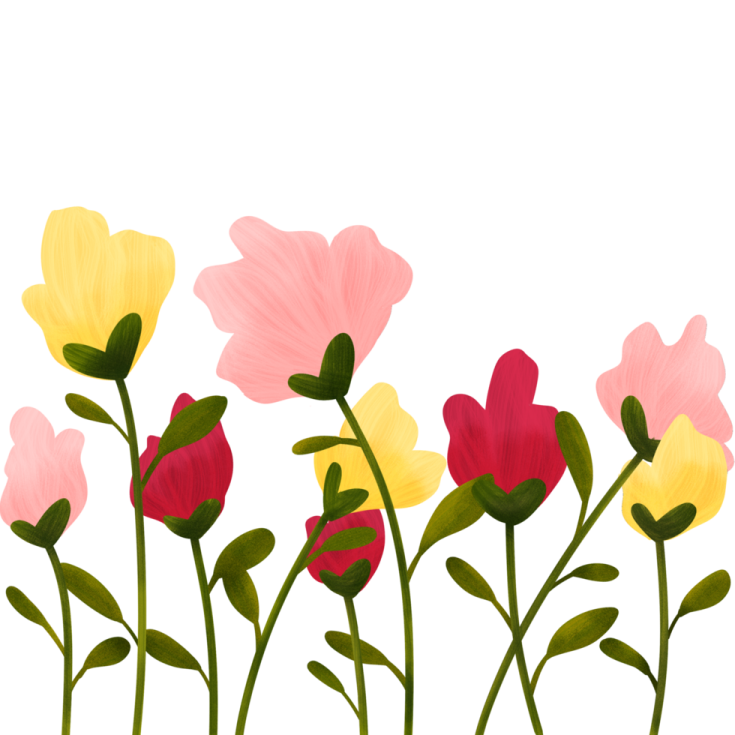 a bunch of flowers on a white background