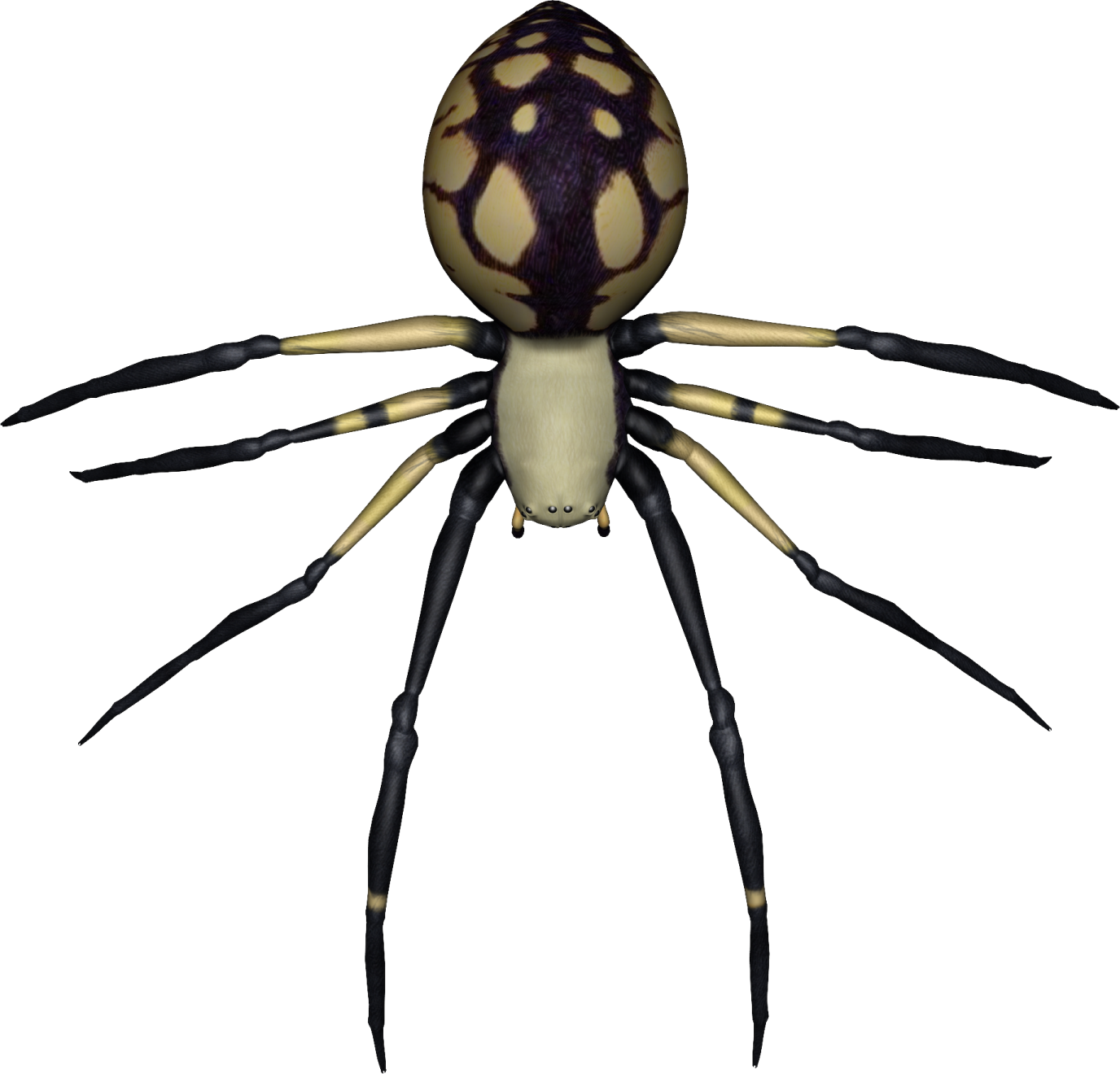 a yellow spider on a white background