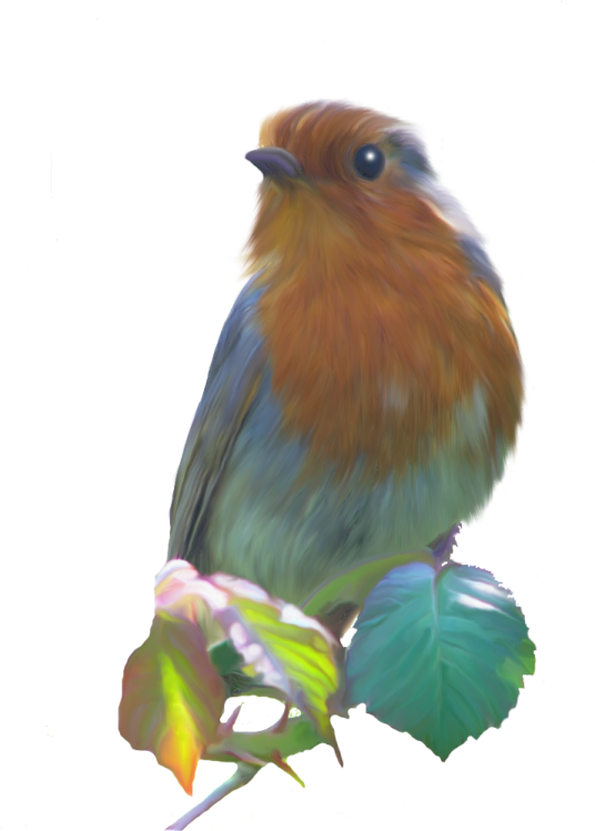 a bird sitting on top of a leaf