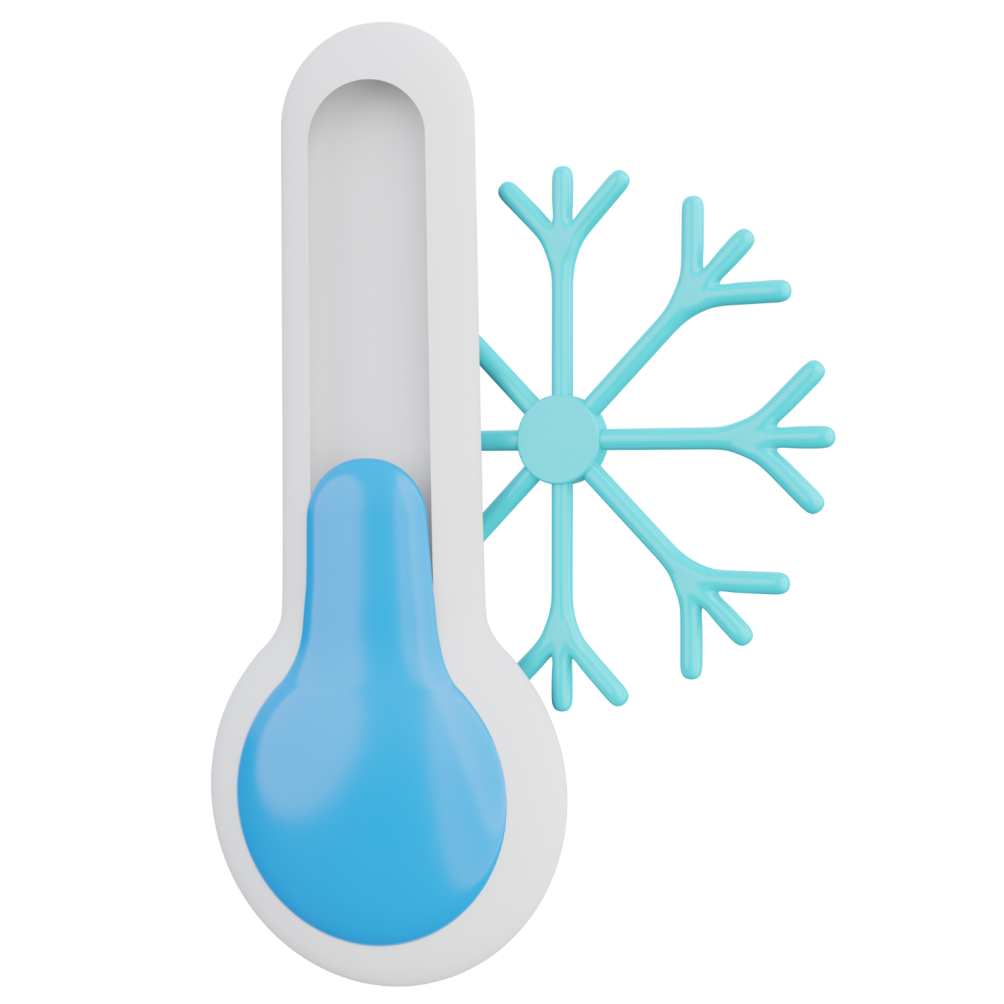 a thermometer with a snowflorer on it