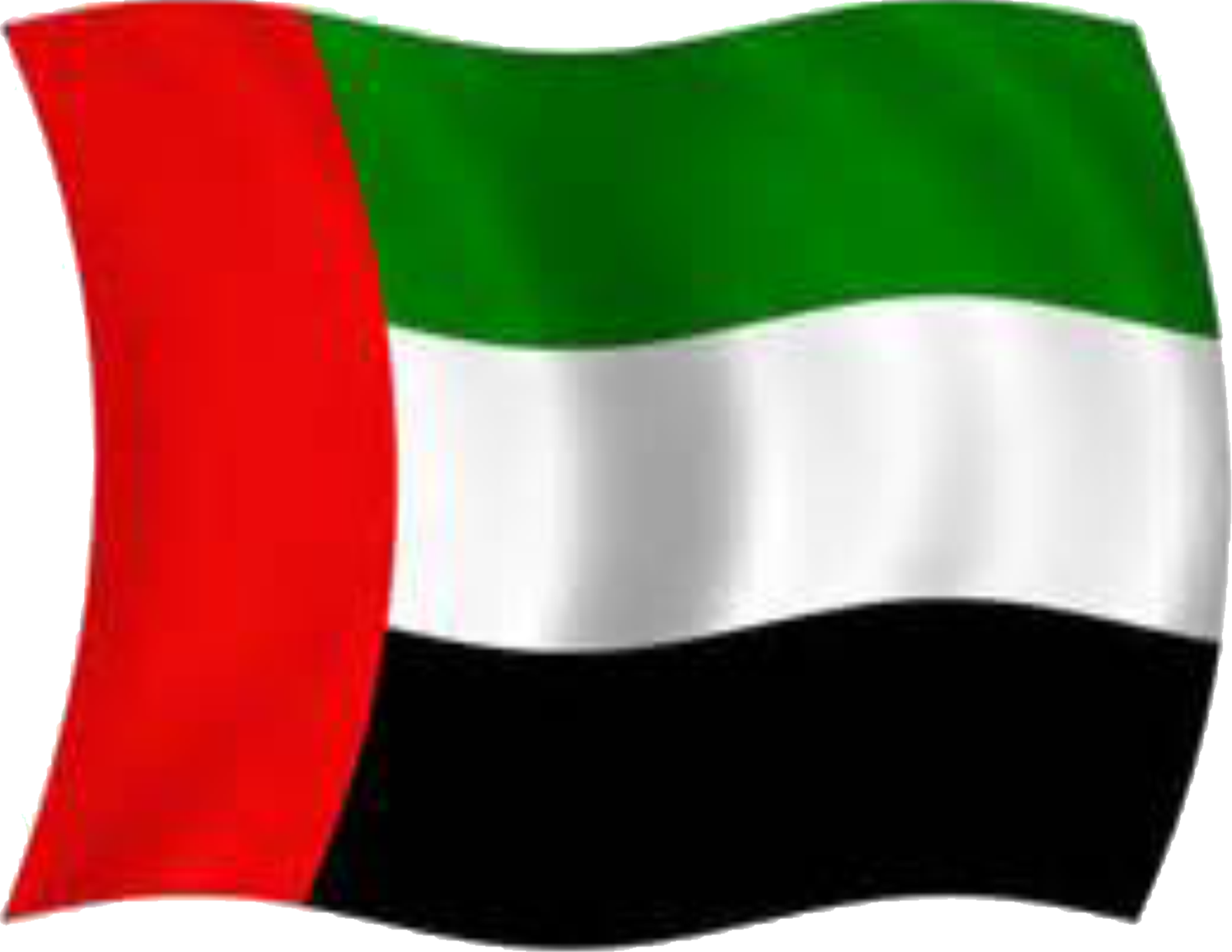 the flag of the united