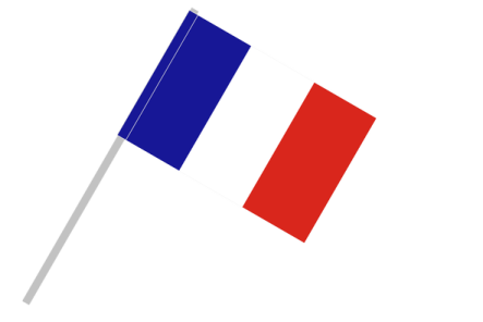 the french flag
