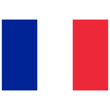 the french flag