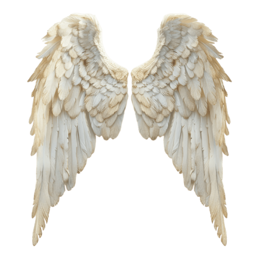 two white wings on a white background