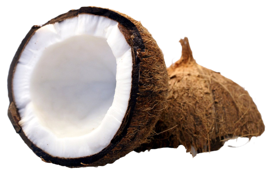 a coconut cut in half on a white background