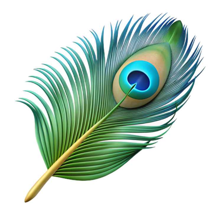 a peacock feather on a white background