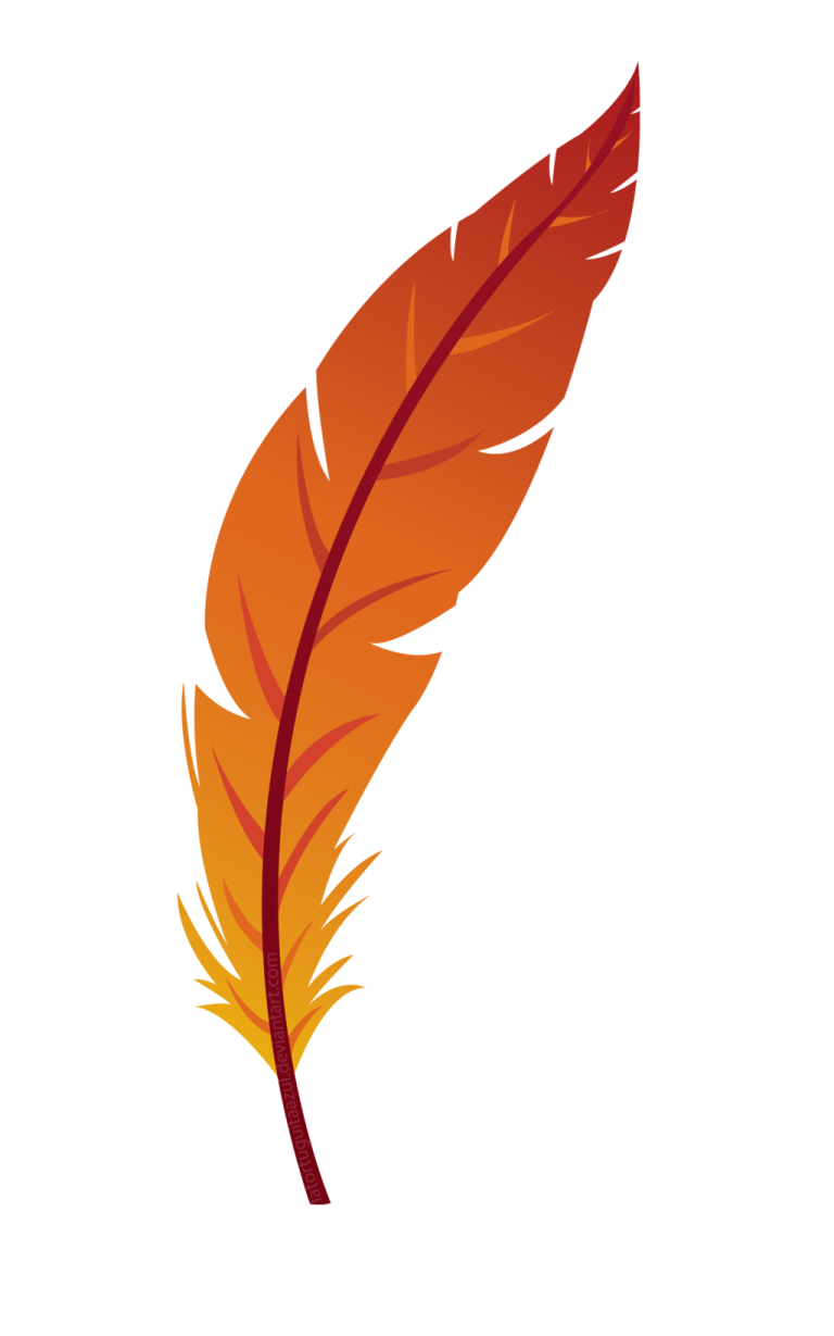 an orange feather on a white background