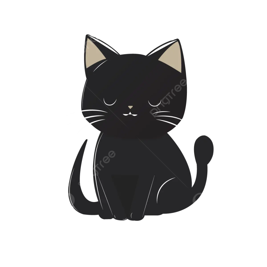a black cat sitting down on the floor