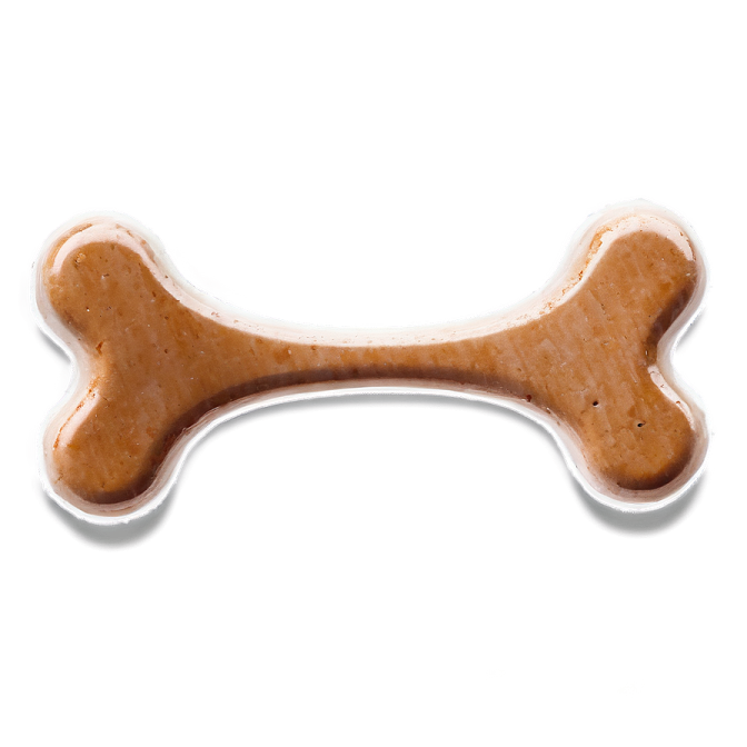 a dog bone bone on a white background