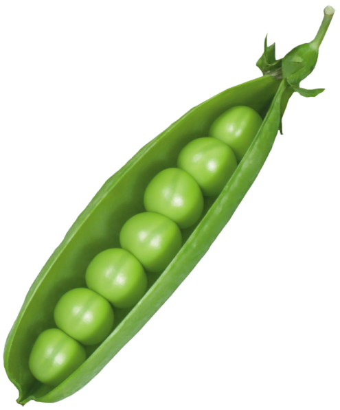 green peas on a white background