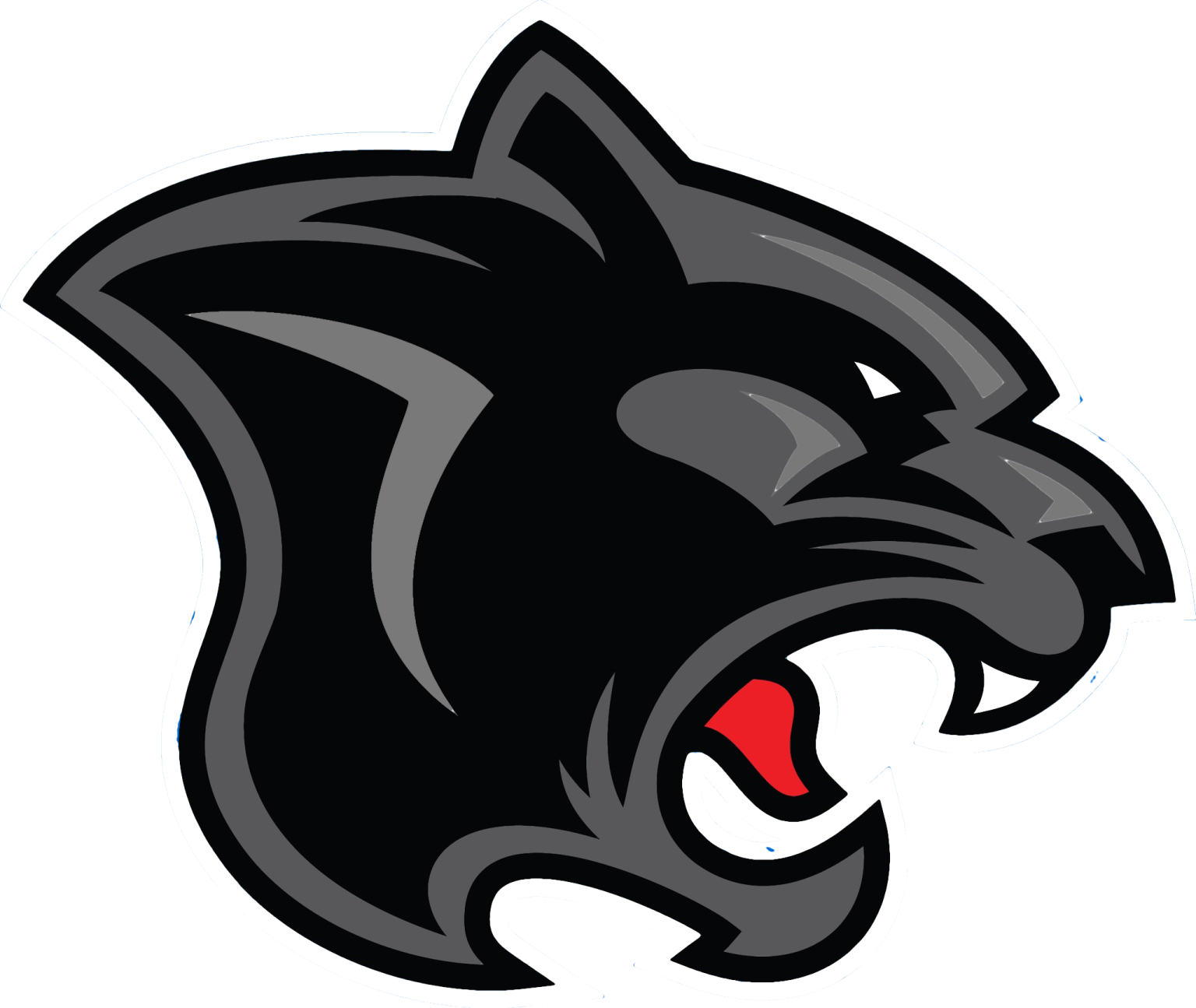 a black panther head with red eyes