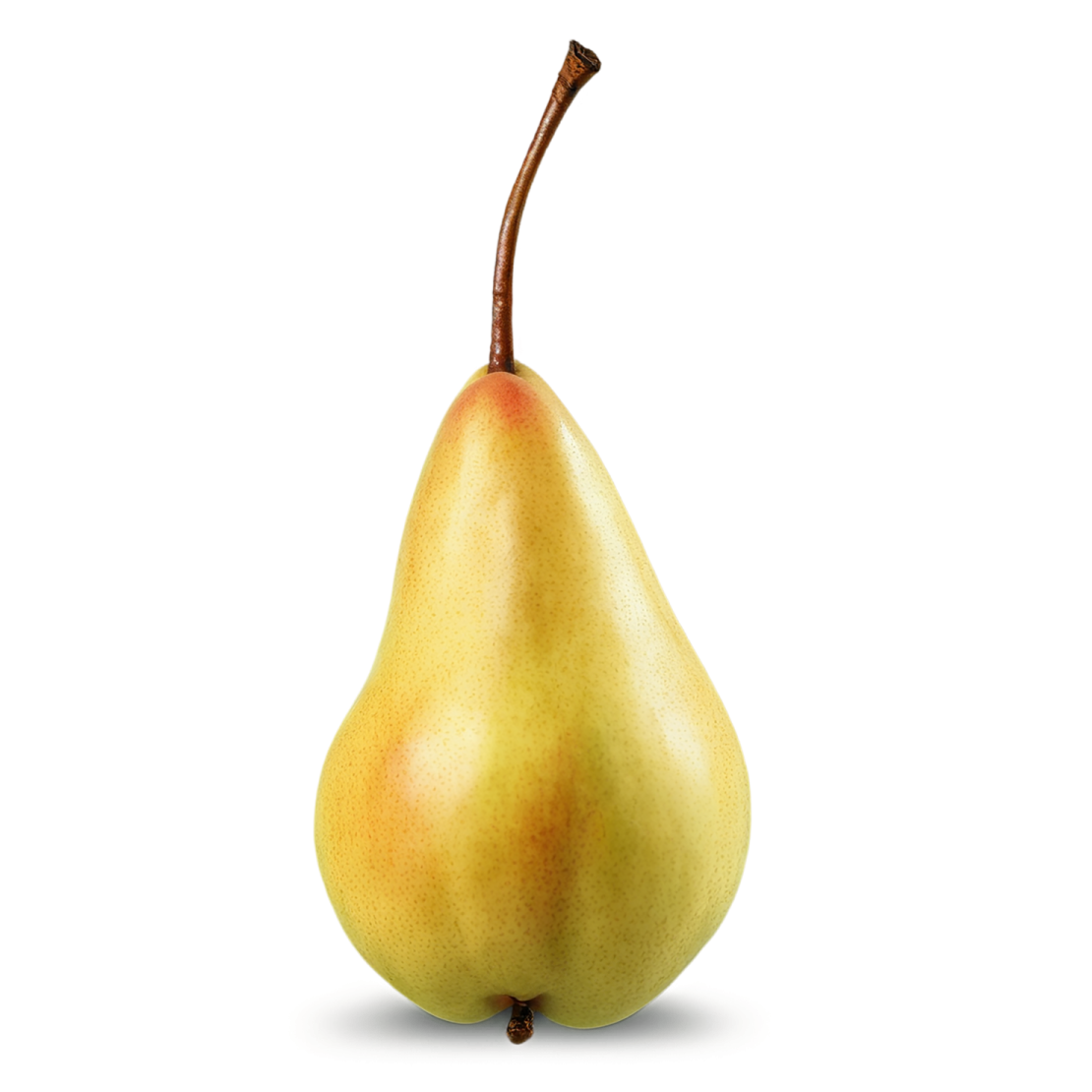 a single pear on a white background