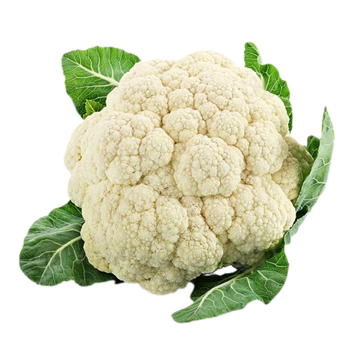 a head of caulia on a white background