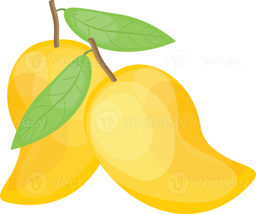 two yellow pears with leaves on a white background