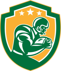 the green bay packers logo