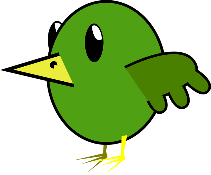 a green bird with a yellow beak