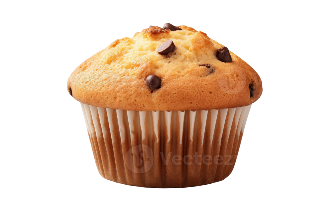 a chocolate chip muffin on a white background