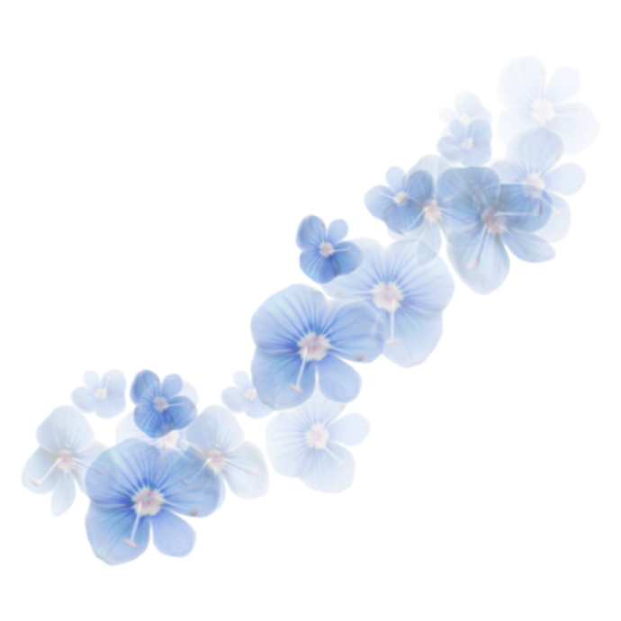a blue flower on a white background