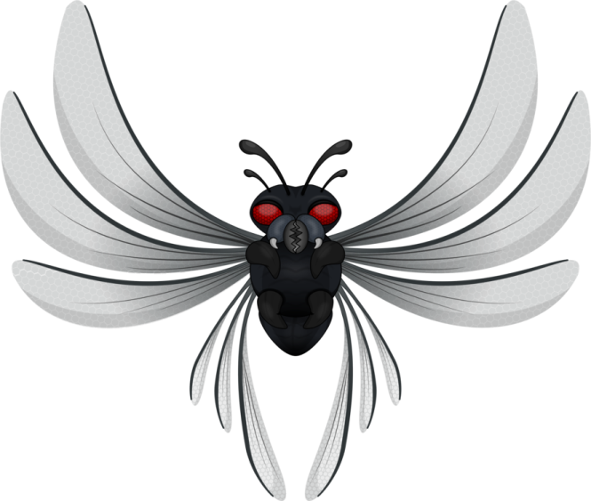 a black and white insect with red eyes