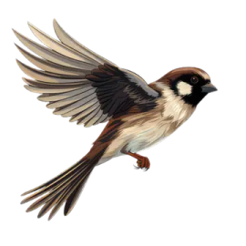 a bird that is flying in the air