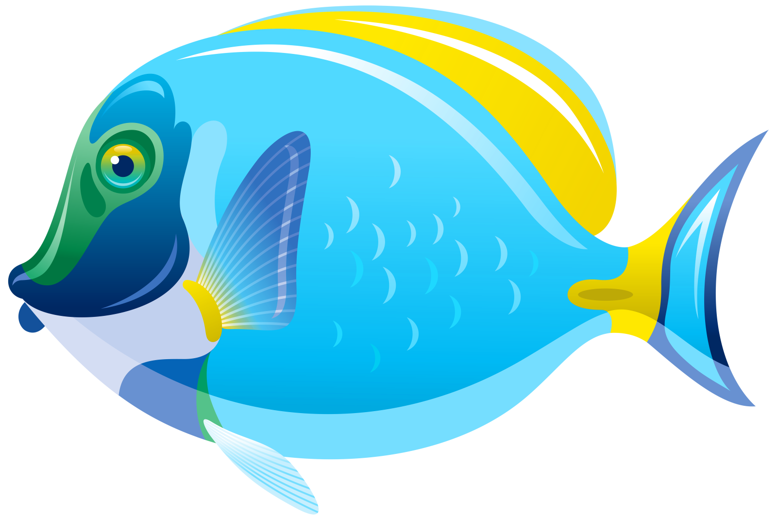 a blue fish on a white background