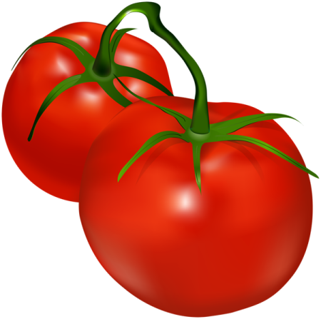 two tomatoes on a white background
