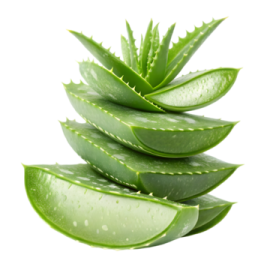 a pile of aloea leaves on a white background