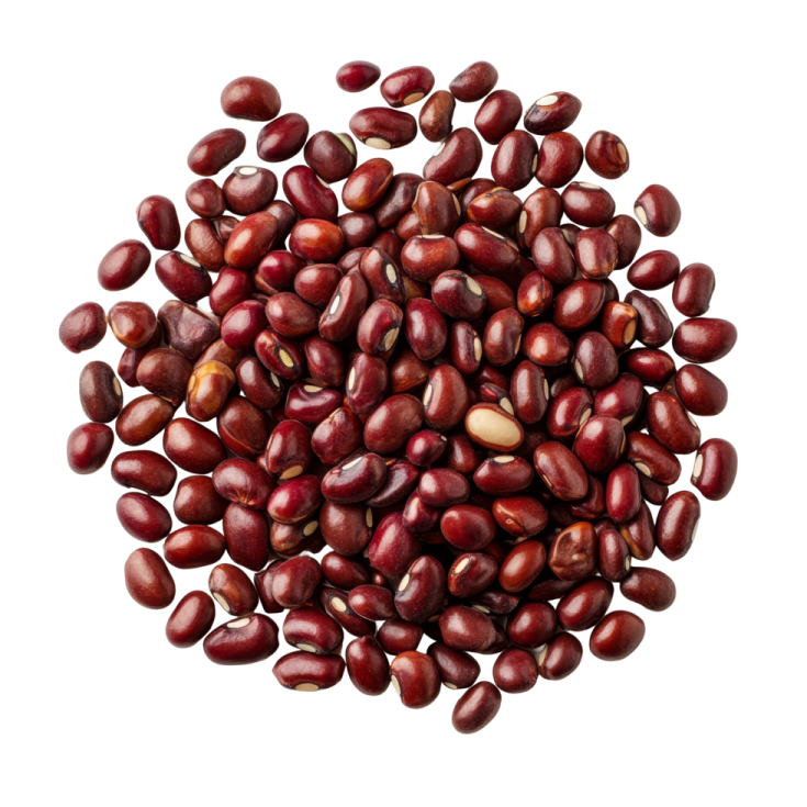 a pile of beans on a white background