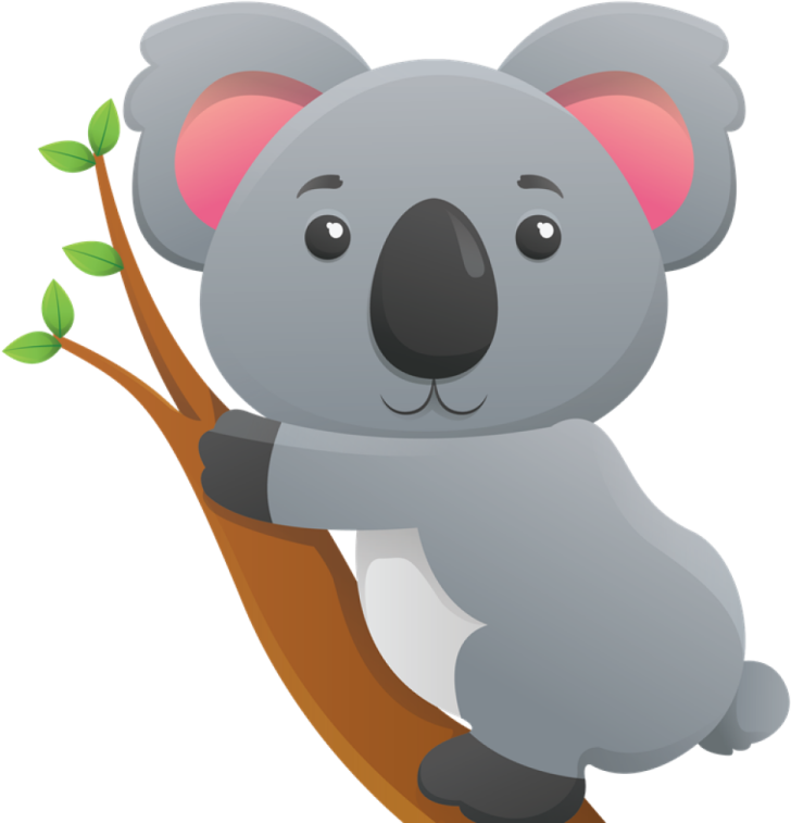 a koloa sitting on a tree branch