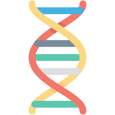 a double strand of dna strands