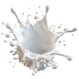 a splash of milk on a white background